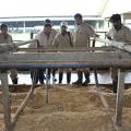 Agricultural professionals from Pakistan look on during a visit to Mississippi State University as dairy herder Kenneth Graves rakes sand at the Joe Bearden Dairy Research Center on Aug. 10, 2015. Similar groups from Bosnia-Herzegovina and Albania also visited MSU over the past month to enhance their skills in agriculture. (Photo by MSU Ag Communications/Kat Lawrence)