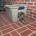 Shelters for pets, such as this cat box, provide a dry place to eat and a warm bed to escape cold weather. (Photo by MSU Extension Service/Kevin Hudson)