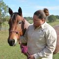 Jamie Burkhardt Speed, an agricultural technician with the Mississippi State University Department of Animal and Dairy Sciences, holds a 2-year-old mare that is for sale in the online auction underway until Nov. 21. The bay roan is one of 24 horses, registered with the American Quarter Horse Association, available from the MSU research herd. (Photo by MSU Extension/Linda Breazeale)