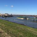 The Mississippi River set flood records in January at Greenville and points south. The flooded Greenville Yacht Club and a casino in the background are seen in this January 10, 2016, photo. (Submitted Photo by Mississippi Levee Board/Peter Nimrod)
