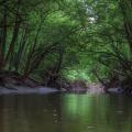 Catalpa Creek runs through the Mississippi State University campus and is the focal point of the 28,943-acre Catalpa Creek watershed. MSU personnel are part of a multiagency effort to restore the water quality of Catalpa Creek. (Photo by Robert Lewis/MSU Extension Service)