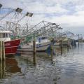 Shrimp boats at rest in the Biloxi Small Craft Harbor in Biloxi, Mississippi, Jan. 25, 2016. (Photo by MSU Extension Service/Kevin Hudson)