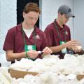 Thirty-four 4-H’ers learned leadership skills when they toured four co-ops as part of the 2016 Cooperative Business Leadership Conference. Here, Jonathan Pannell, left, of Alcorn County, and Thomas Heck of Hancock County examine cotton samples at Staplcotn in Greenwood. (Submitted Photo/Lauren Revel)