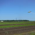 Nitrogen is applied to rice fields as urea, which is being sprayed by aerial application on this preflood field in Washington County, Mississippi, in June 2015. (Photo by MSU Extension Service/Lee Atwill)