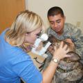 Dr. Caroline Betbeze with the Mississippi State University College of Veterinary Medicine examines a canine patient as part of the American College of Veterinary Ophthalmologists/Merial National Service Dog Eye Exam event. (Photo Submitted)