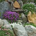 Tapien verbenas offer equally impressive toughness and beauty. They may be the ultimate groundcover with their dense carpet of green foliage topped off by gorgeous flowers most of the summer.