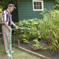 Harold Rone of Starkville uses a hose to water his garden when rainfall is not adequate. If the idea of a hose doesn't appeal to you, consider installing an irrigation system. (Photo by Scott Corey)