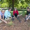 For some, gardening is a passion that leads to community service, but for others, gardening is just hard work. Lowndes County Master Gardeners, from left, Jean Wilson, Mary Faglie, Jennifer Duzan and Nell Thomas examine some of the herbs growing in the garden they renovated for the Culinary Institute at Mississippi University for Women. (Photo by MSU Ag Communications/Scott Corey)