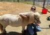 A woman kneels beside a small horse that she is hugging.