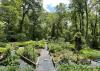 A garden is divided into raised beds with wide paths between them.