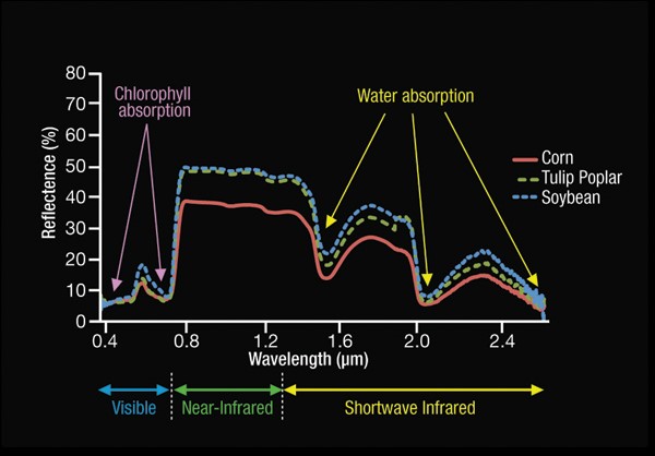 electromagnetic spectrum graph